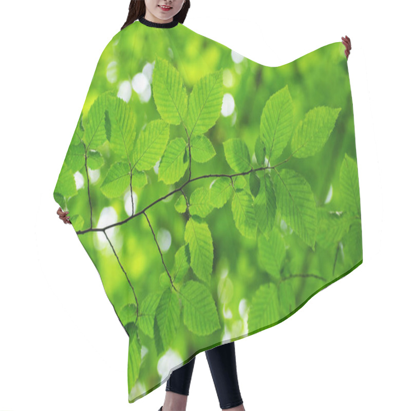 Personality  Spring Summer Flora, Green Leaves Hair Cutting Cape