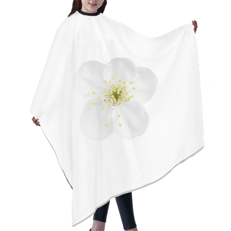 Personality  Beautiful Tree Blossom Isolated On White. Spring Season Hair Cutting Cape