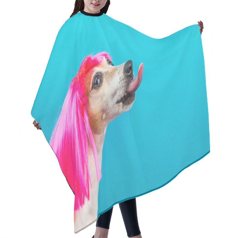 Personality  Funny Dog Profile In Pink Wig On Blue Background Licking. Hair Cutting Cape