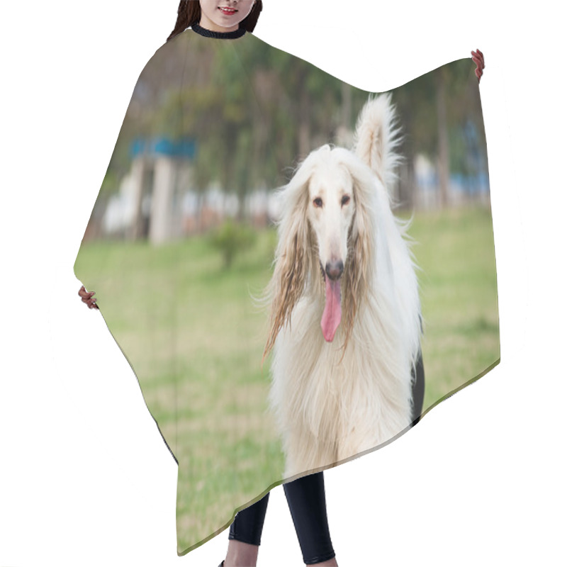 Personality  Afghan Hound Dog Hair Cutting Cape