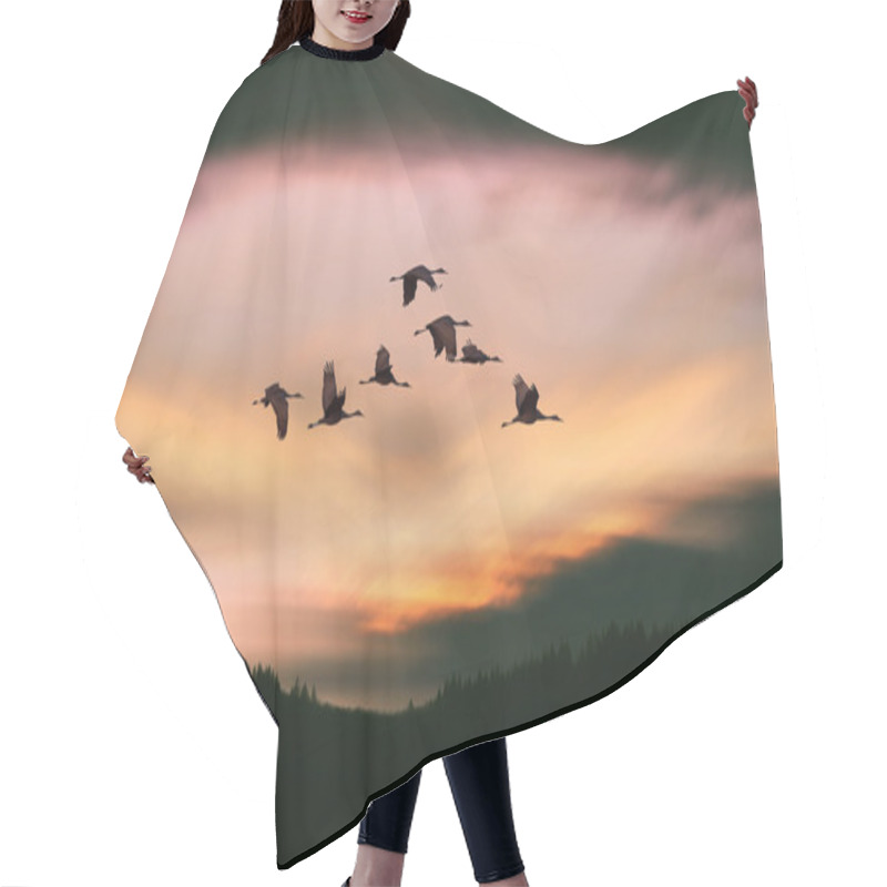 Personality  Flock Of Cranes Spring Or Autumn Migration Hair Cutting Cape