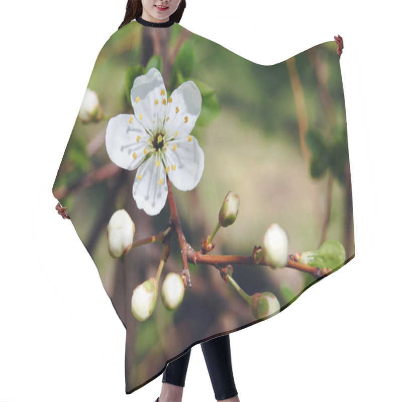 Personality  Cherry Blossom Hair Cutting Cape