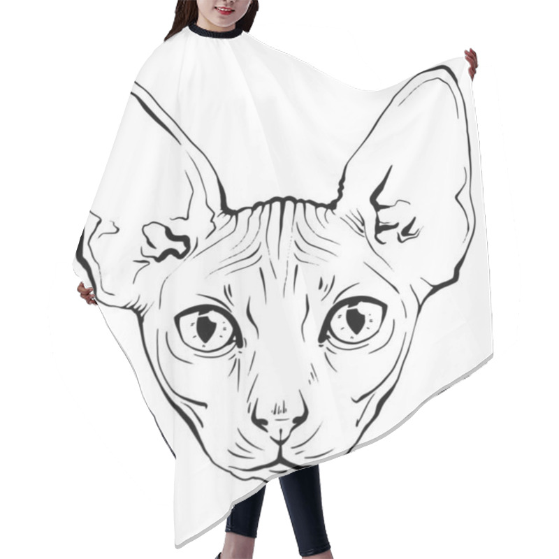 Personality  Vector Drawing Portrait Cat Hand Drawn. Black And White Muzzle Of A Sphinx Cat. Portrait Of A Cat Black And White Graphics Drawn By Ink. Feline Fluffy Portrait Of Purebred Pet On The Background Hair Cutting Cape