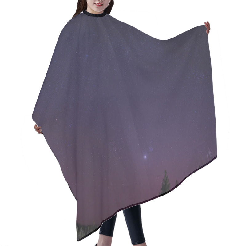 Personality  Starry Night Sky With Trees Hair Cutting Cape