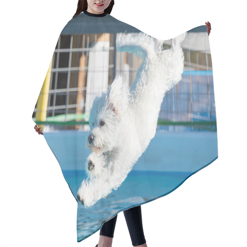 Personality  White Dog About To Land In A Swimming Pool At A Dock Diving Event Hair Cutting Cape