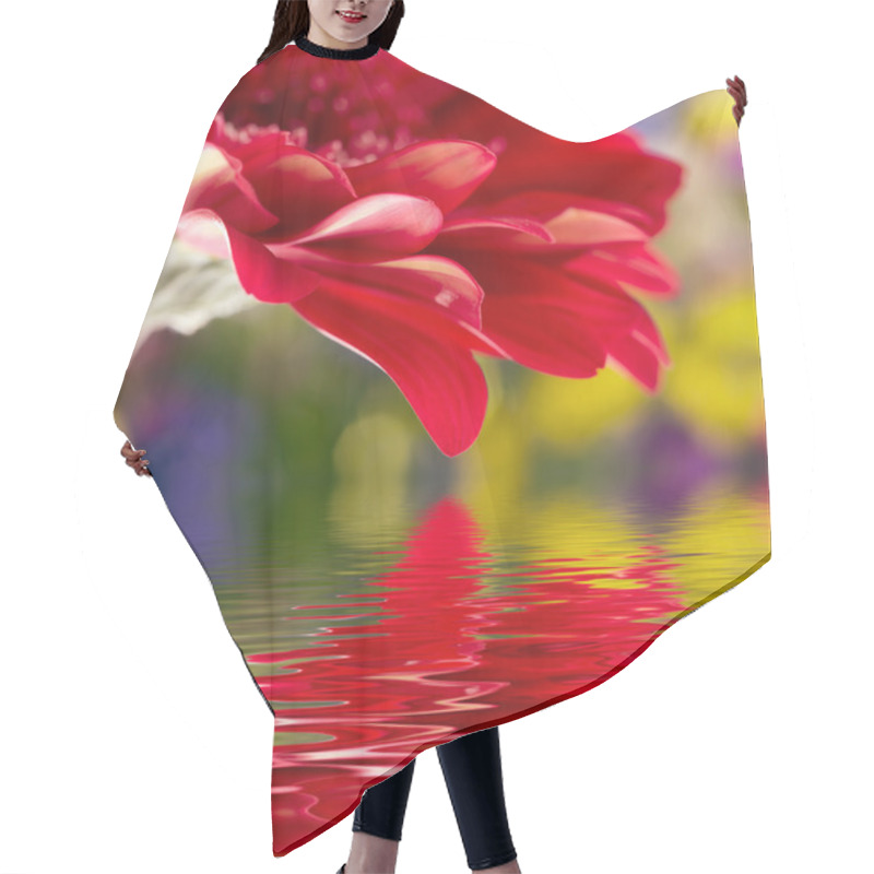 Personality  Red Daisy-gerbera With Soft Focus Reflected In The Water Hair Cutting Cape