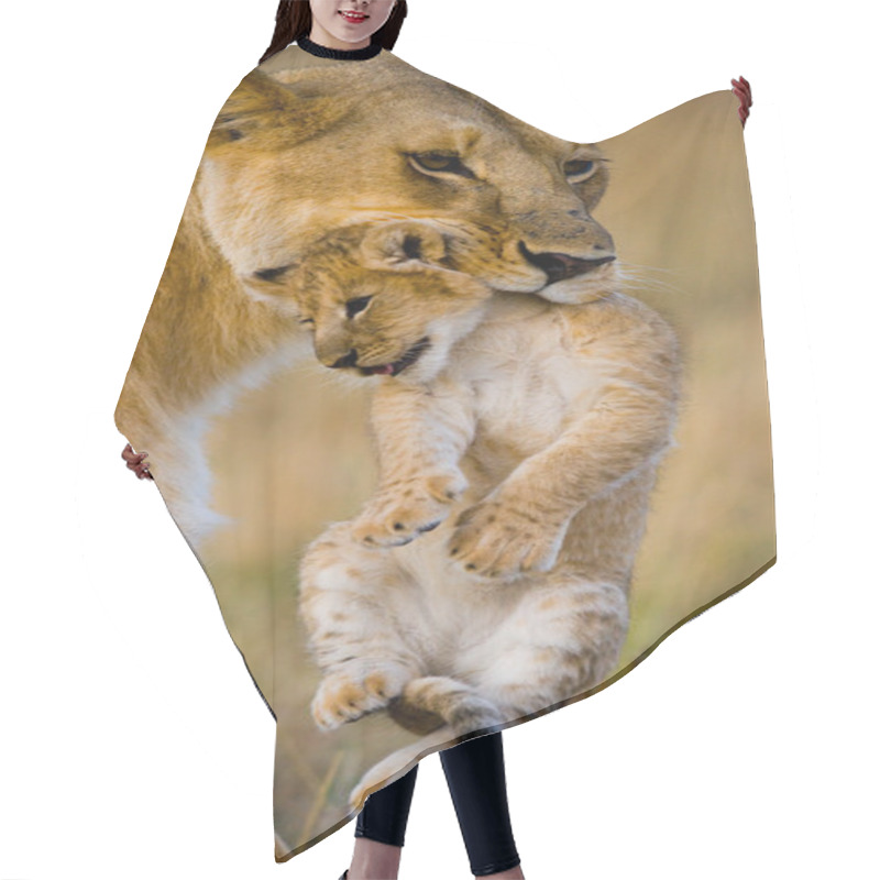 Personality  Lioness In Its Habitat With Cub Hair Cutting Cape