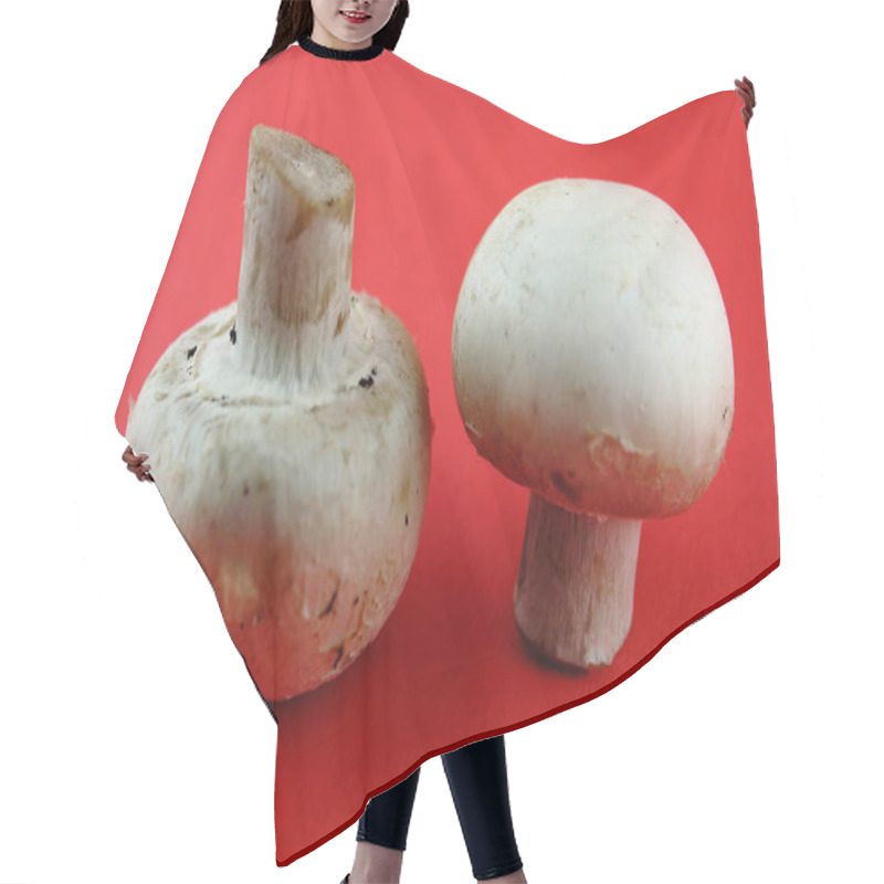 Personality  Button Mushrooms Hair Cutting Cape