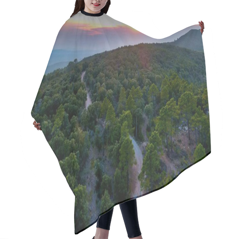 Personality  Aerial View Of A Road In The Forest During Sunset In Provence Hair Cutting Cape