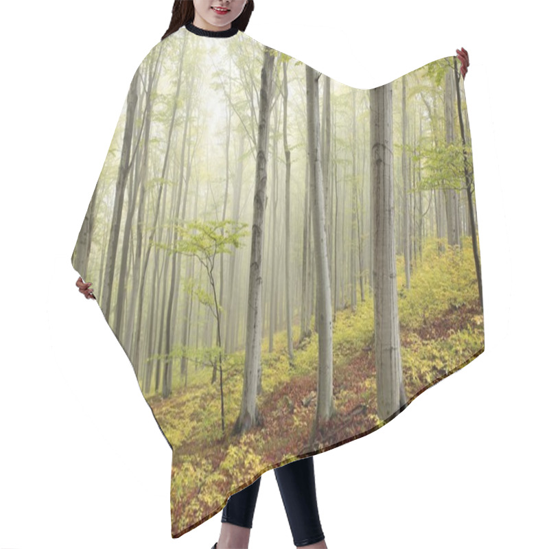 Personality  Misty Autumn Beech Forest Hair Cutting Cape