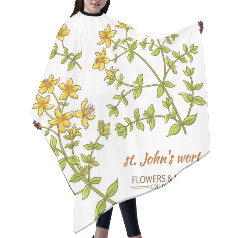 Personality  St. John's Wort Vector Set Hair Cutting Cape