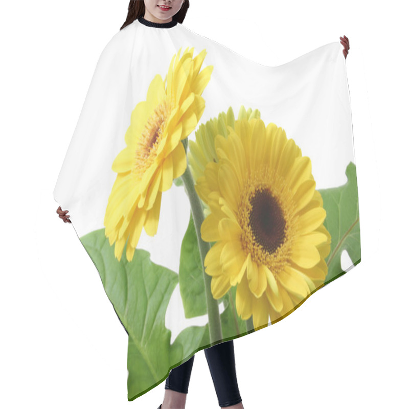 Personality  Gerbera Hair Cutting Cape