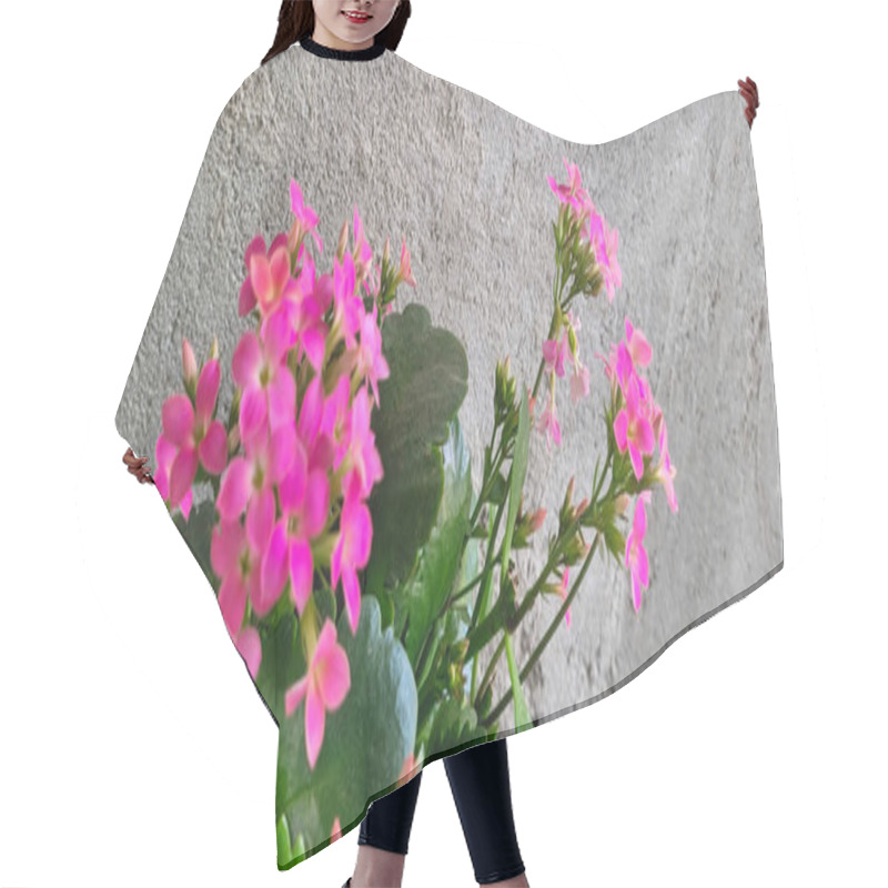 Personality  Pink Flowers With Rustic Wall Background Hair Cutting Cape