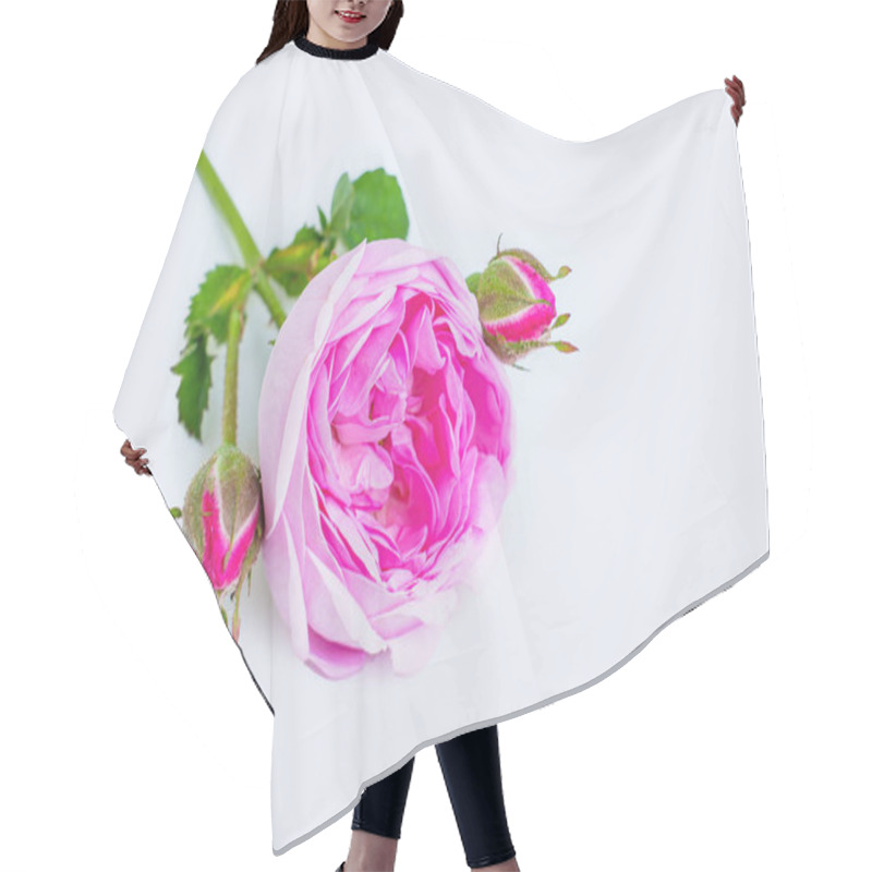 Personality  Close-up Of A Delicate Blooming Rose Isolated On White Background. Hair Cutting Cape