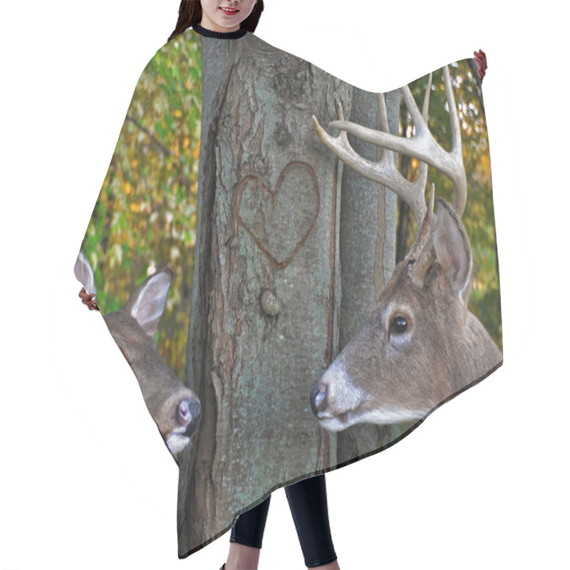 Personality  Buck And Doe With Carved Heart Hair Cutting Cape