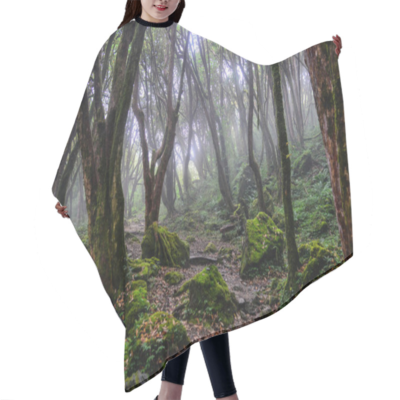 Personality  Hiking Trail In Green Summer Forest  Hair Cutting Cape