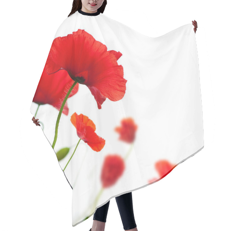 Personality  Poppies Isolated On White Hair Cutting Cape