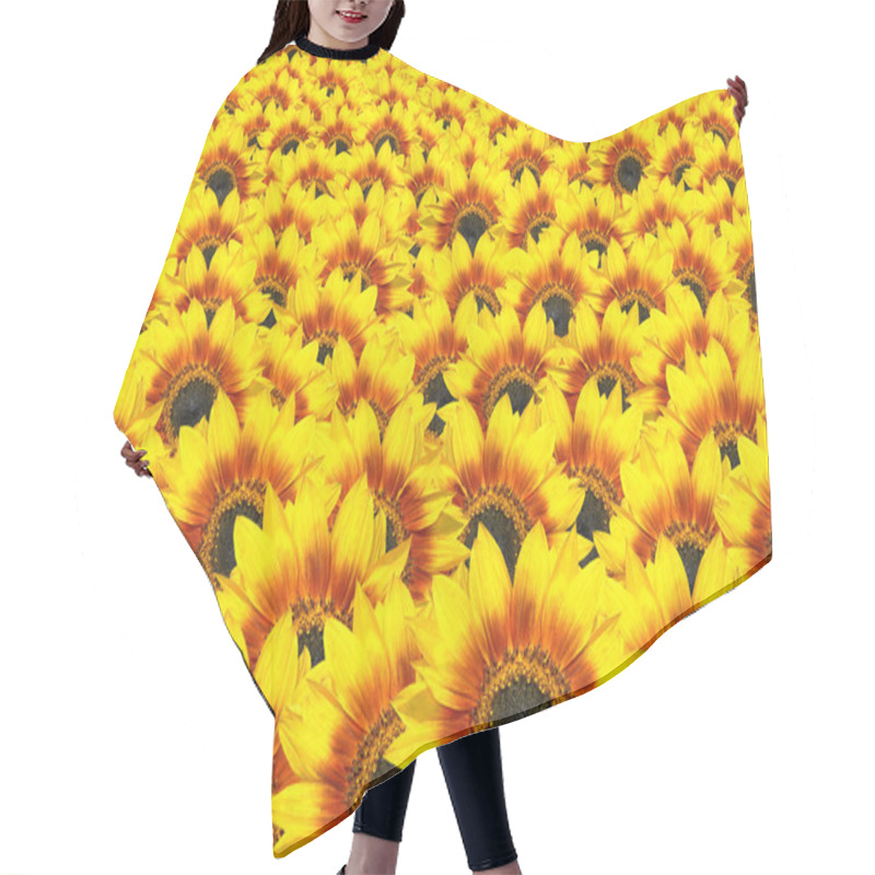 Personality  Lots Of Fresh Sunflowers - Sun Flower Background Hair Cutting Cape