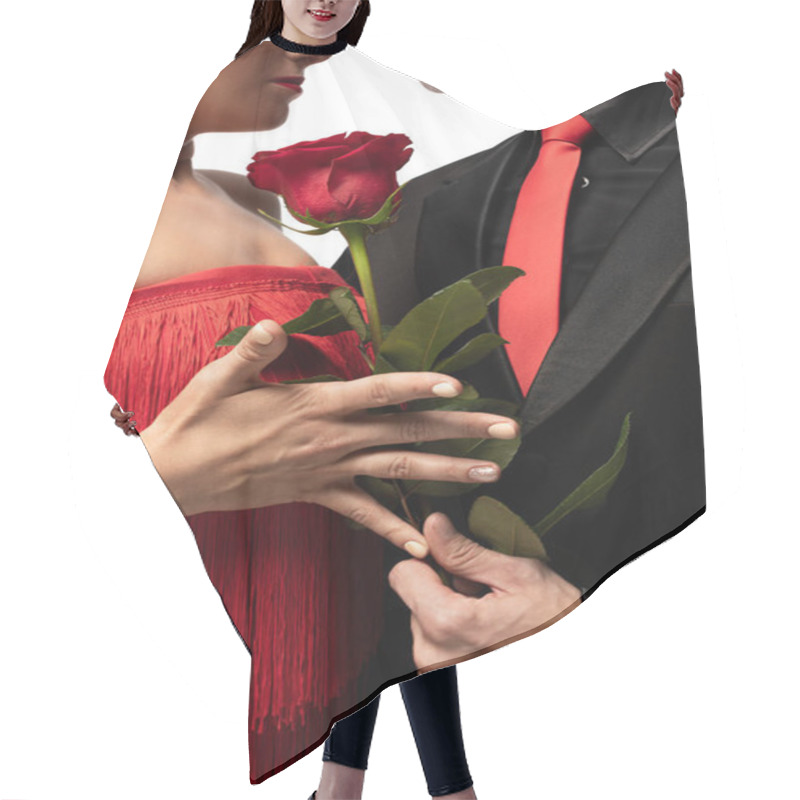 Personality  Cropped View Of Dancer Gifting Red Rose To Partner While Performing Tango Isolated On White Hair Cutting Cape