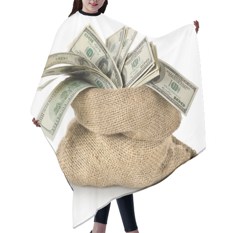 Personality  Money In The Bag Hair Cutting Cape