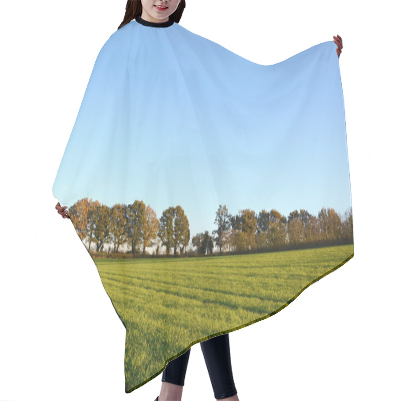 Personality  Green Farm Field Edged By Fall Trees Hair Cutting Cape