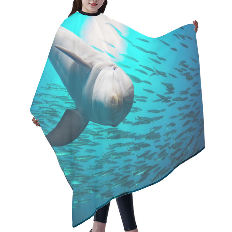 Personality  Dolphin Underwater On Reef Background Hair Cutting Cape