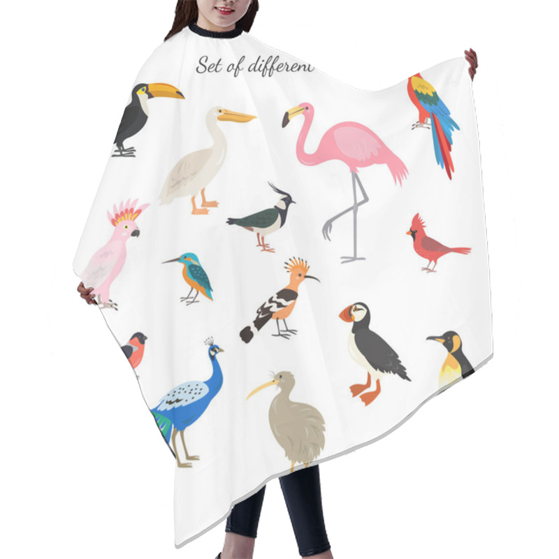 Personality  Set Of Birds On White Background. Vector Illustration. Hair Cutting Cape