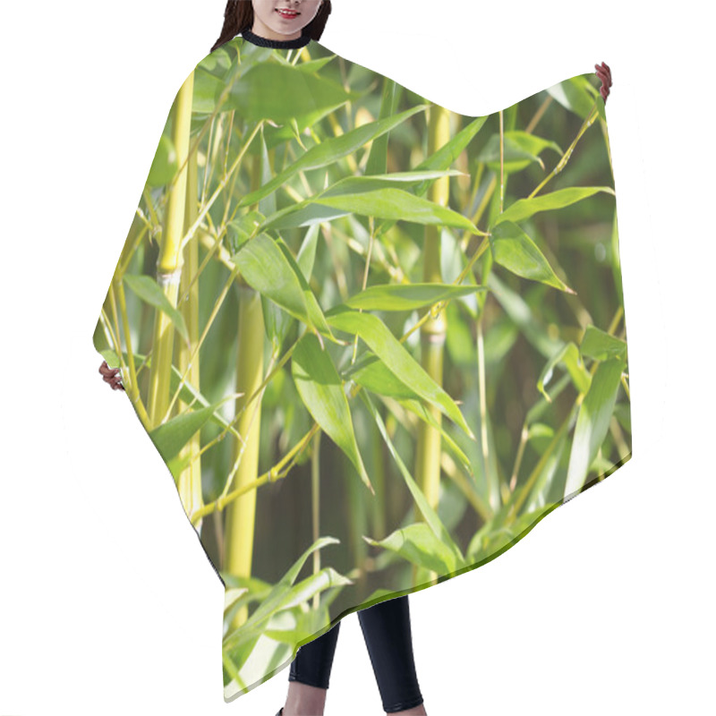 Personality  Bamboo Hair Cutting Cape