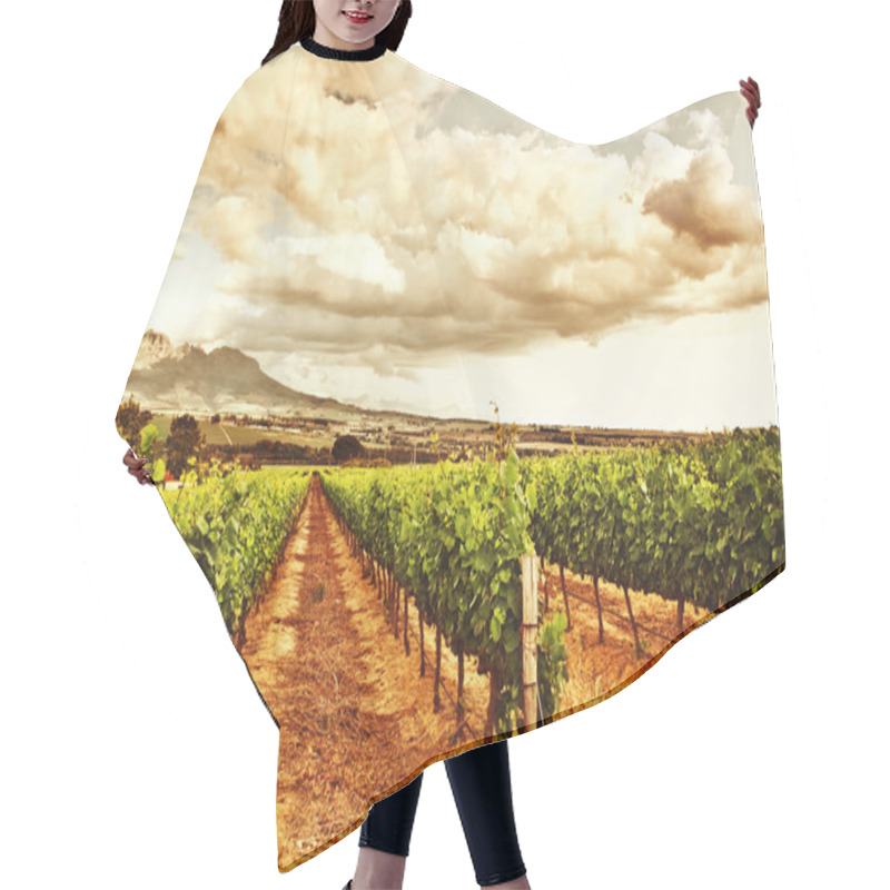 Personality  Beautiful Vineyard Hair Cutting Cape