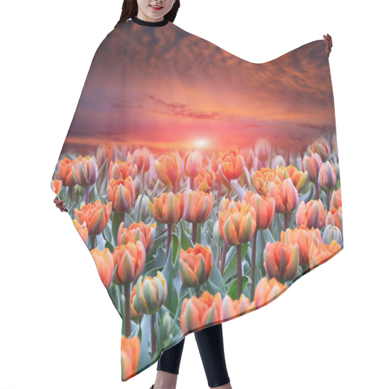 Personality  Majestic Tulips Flower Meadow On Sunset Sky Background Hair Cutting Cape