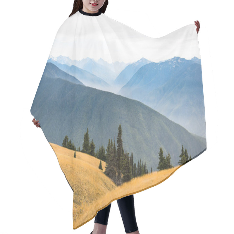 Personality  Mountain Landscape Scenic Background Of Hurricane Ridge In Olympic National Park In Washington State. The Majestic Blue Olympic Mountains And Yellow Gold Grass With Evergreen Trees In The Foreground. Hair Cutting Cape