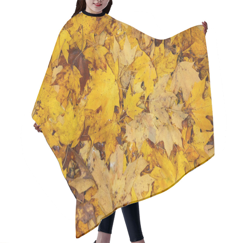 Personality  Autumn Leaves Hair Cutting Cape