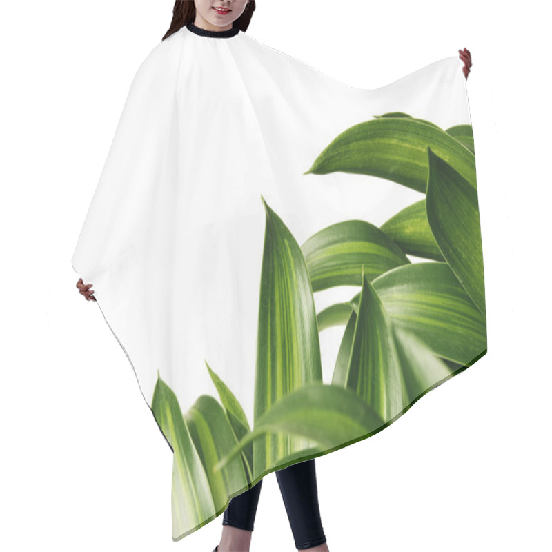 Personality  Green Healthy Leaves Hair Cutting Cape