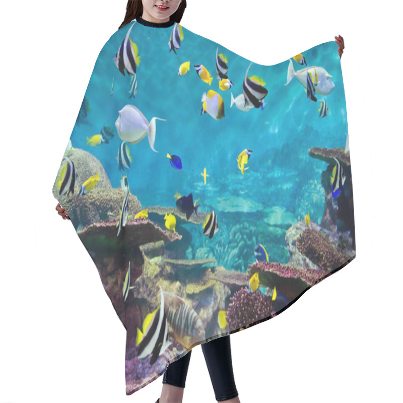 Personality  Fishes And Coral, Underwater Life Hair Cutting Cape