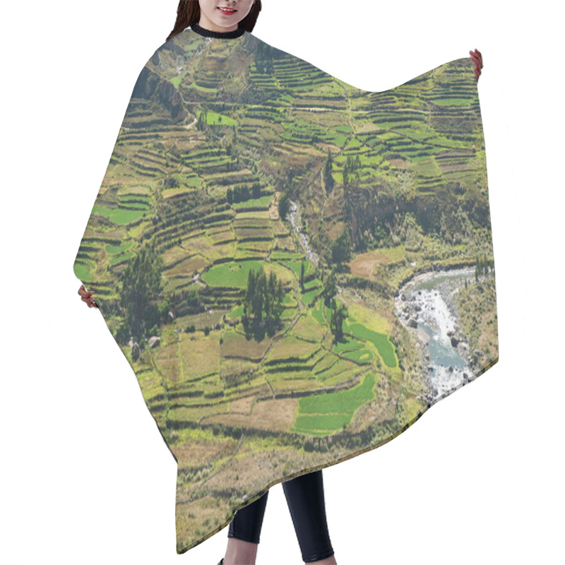 Personality  Stunning Stepped Agricultural Terraces in the Sunlight, Colca Canyon or Valle del Colca in Arequipa Region of Peru hair cutting cape