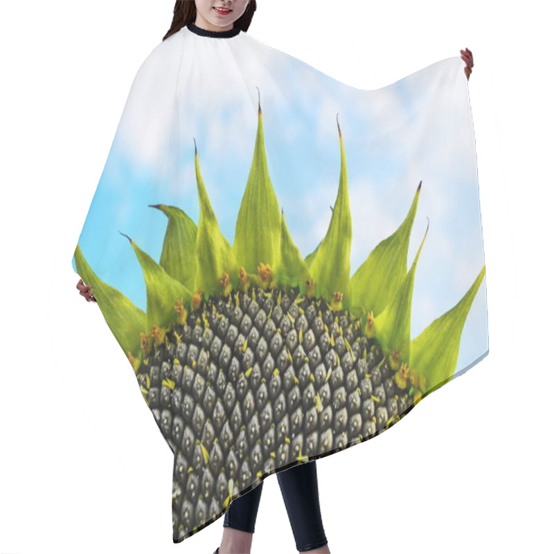 Personality  Sunflower Field Over Cloudy Blue Sky Hair Cutting Cape