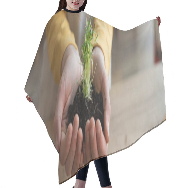 Personality  Cropped View Of Preteen Kid Holding Plant In Soil At Home, Banner  Hair Cutting Cape