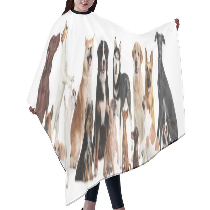 Personality  Collage With Different Dogs On White Background. Banner Design Hair Cutting Cape