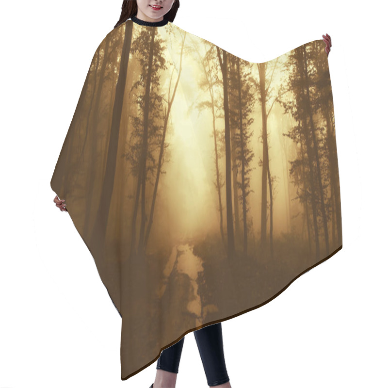 Personality  Autumn Sunset In Fantasy Forest, Misty Surreal Landscape Hair Cutting Cape