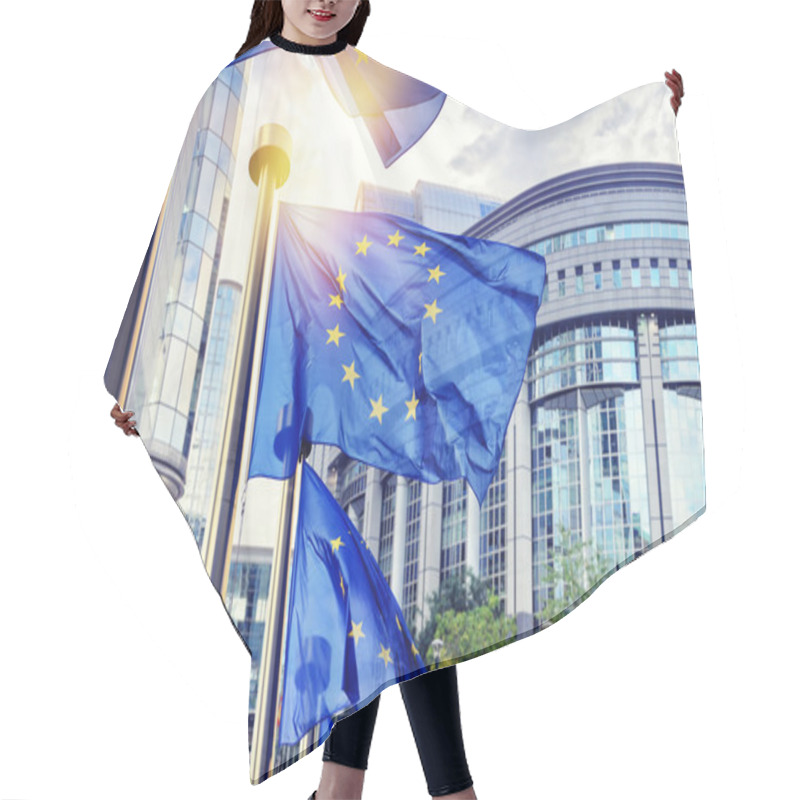 Personality  EU Flags Waving In Front Of European Parliament Hair Cutting Cape