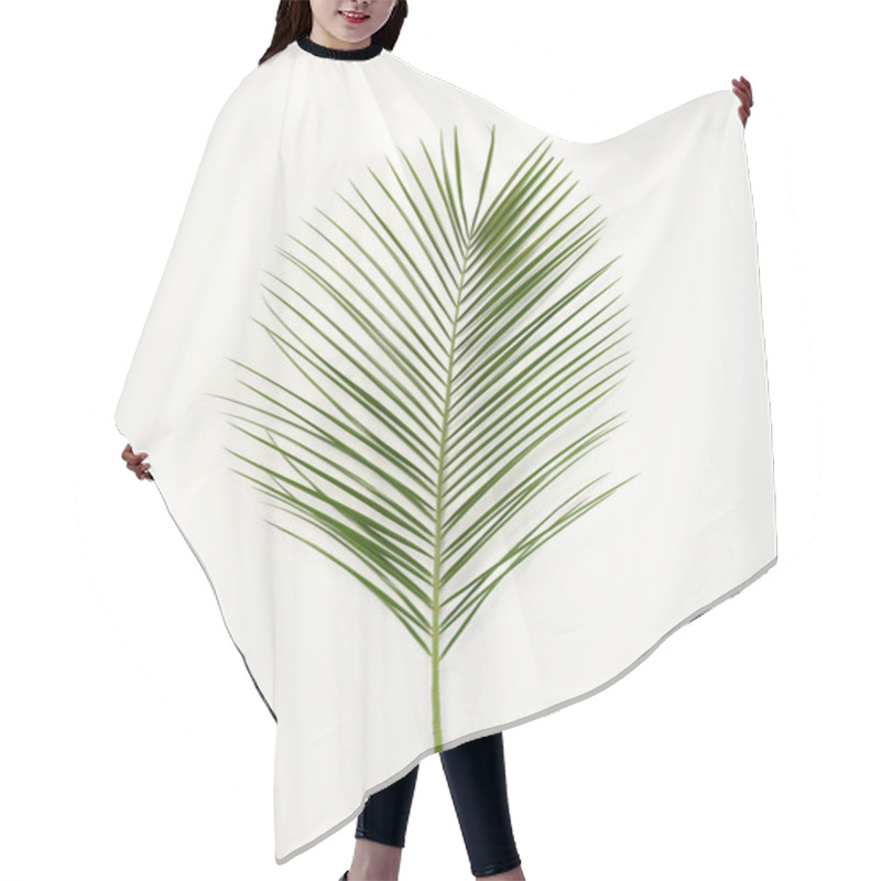 Personality  Tropical Date Palm Leaf On White Background, Top View Hair Cutting Cape