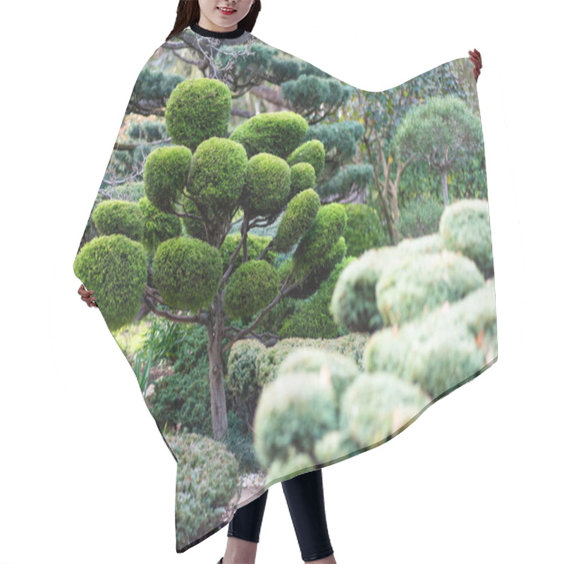 Personality  Japanese Landscape - Takedera - Hokokuji - Kamakura - Kanagawa. High Quality Photo Hair Cutting Cape