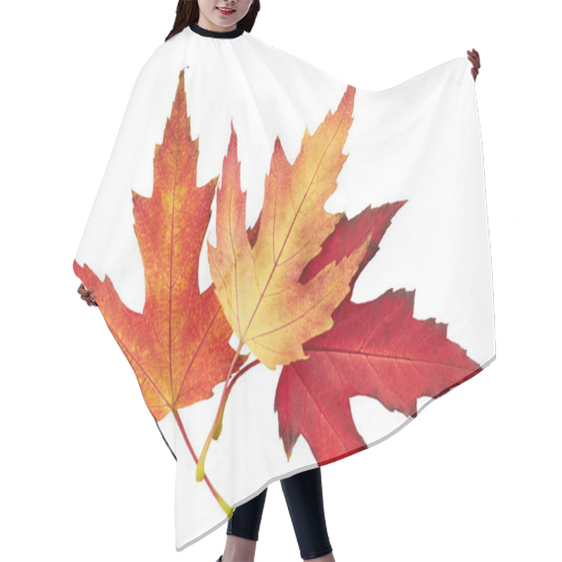 Personality  Maple Autumn Leaves Hair Cutting Cape