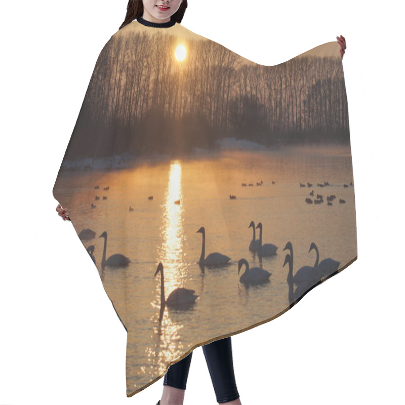 Personality  Sunset On The Bright (Swan) Lake In Winter. Hair Cutting Cape