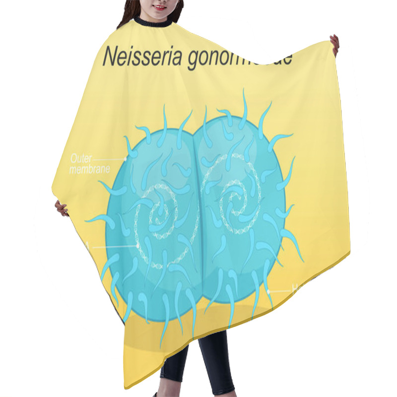 Personality  Neisseria Gonorrhoeae Pathogen Bacteria. Sexually Transmitted Disease And Gonococcus Infection. Genital Tract Infection. Vector Poster Hair Cutting Cape