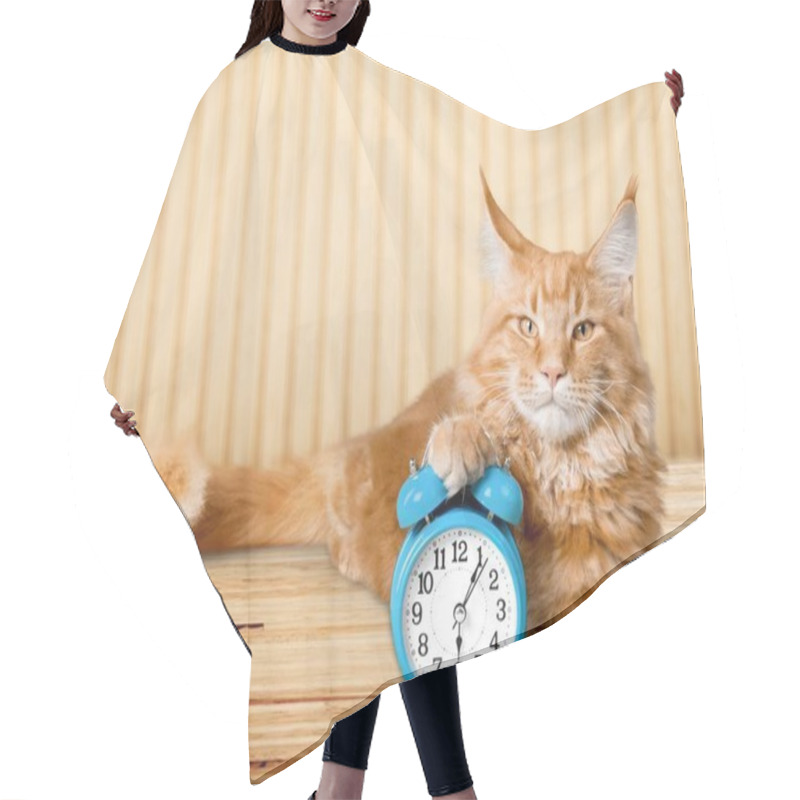 Personality  Adorable Red Cat With Alarm Clock On Table Hair Cutting Cape