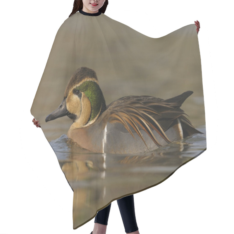 Personality  Baikal Teal - Anas Formosa Hair Cutting Cape