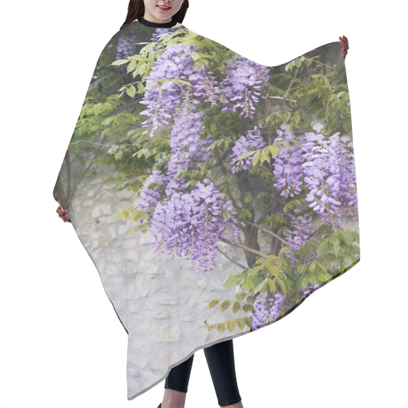 Personality  Cascade Purple Wisteria Vine Hair Cutting Cape