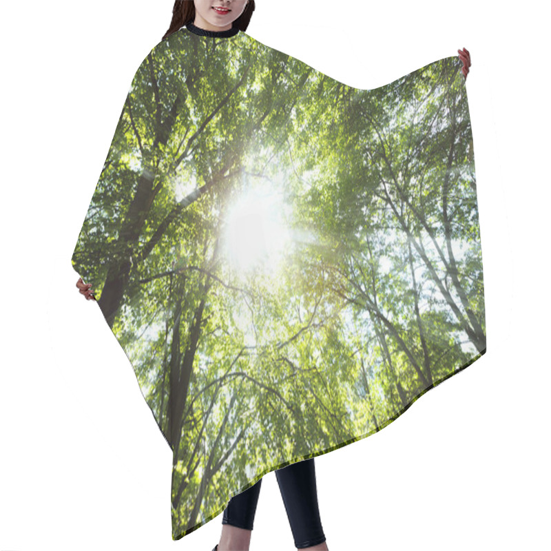 Personality  Sun Light Beams Through Tree Branches Hair Cutting Cape