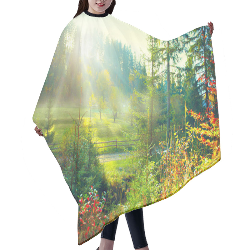 Personality  Beautiful Morning Misty Old Forest Hair Cutting Cape